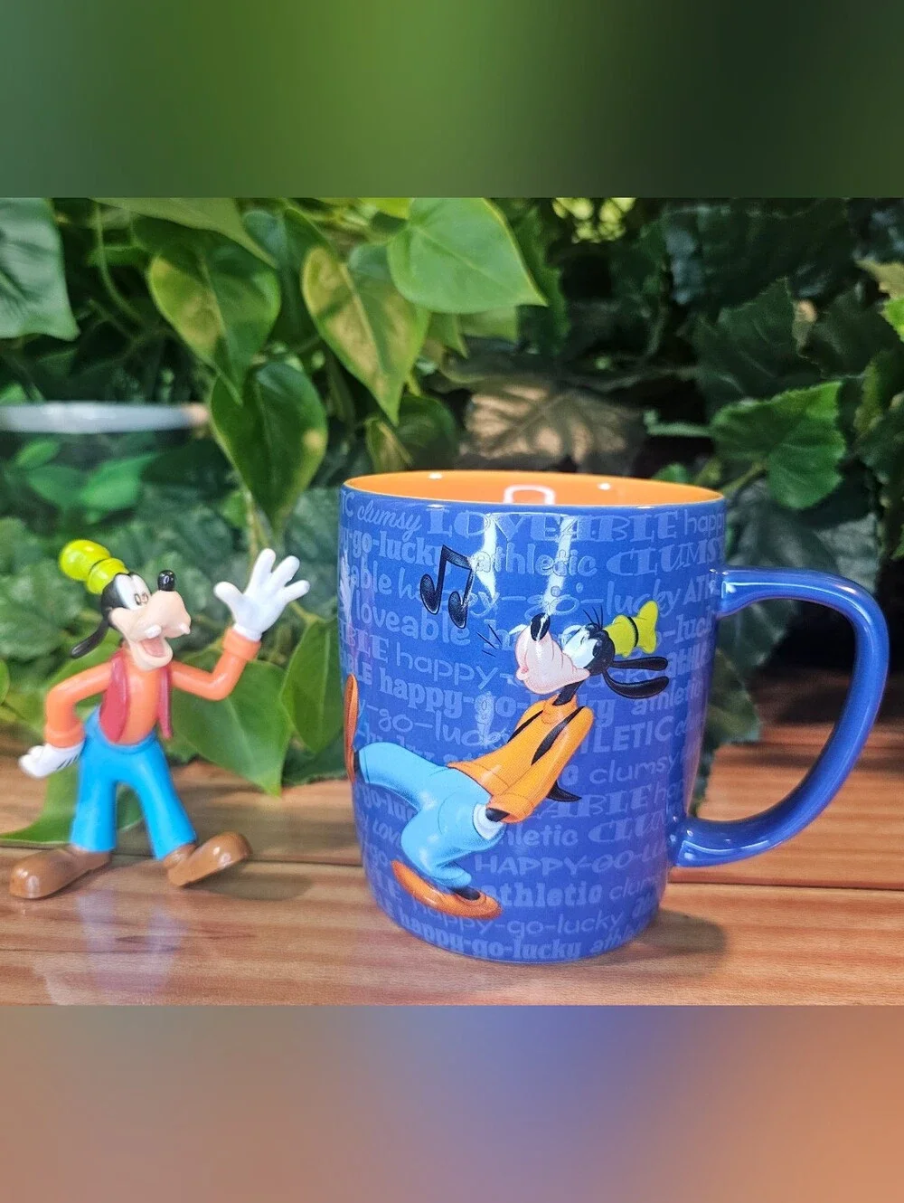 Disney fun parks